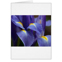 Floras, Flowers Greeting Card