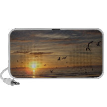 Florida Beach Sunset with Birds Speaker