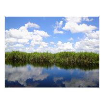 Florida everglades with clouds photograph