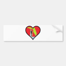 florida fountain of youth bumper sticker