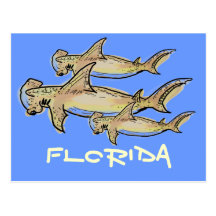 Florida hammerhead sharks postcard