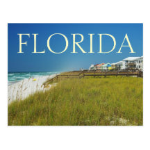 FLORIDA - On A Beachscape Postcard