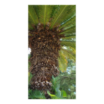 Florida Palm Personalized Photo Card