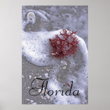 Florida Seaweed and Sea Foam Print