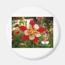 flower3.jpg refrigerator magnets