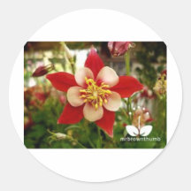 flower3.jpg round sticker