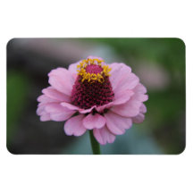 Flower 1 rectangular magnet