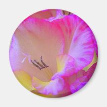 flower 2 magnet
