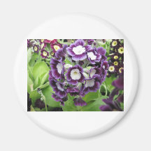 Flower 2 refrigerator magnets