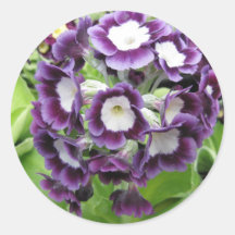 Flower 2 stickers