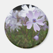 Flower 3 fridge magnets