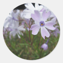 Flower 3 sticker