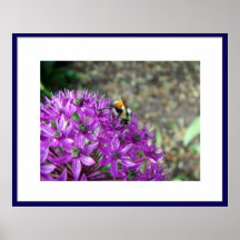 Flower and bee poster