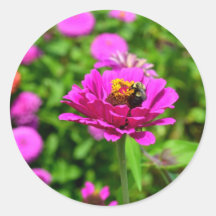 Flower and Bee Stickers