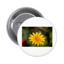 flower badges avec agrafe