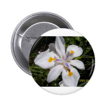 Flower Beauty Pins