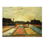 Flower Beds in Holland Postcard