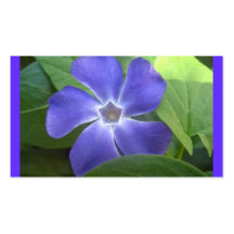 flower,,blue vinca buisness card business card templates