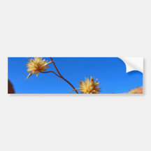 Flower Bumper Stickers