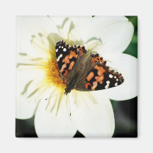 Flower Butterfly Square Magnet - 1