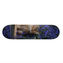 Flower Cat Skate Decks