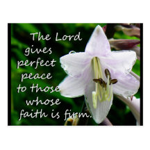 Flower Faith Post Cards