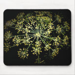 flower fireworks mousepad