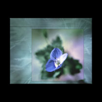 Flower frame canvas prints
