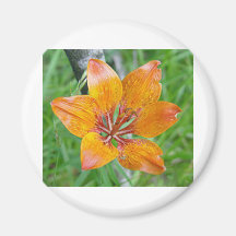 Flower Fridge Magnet