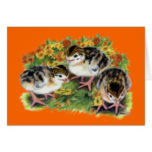 Flower Garden Keets Greeting Cards