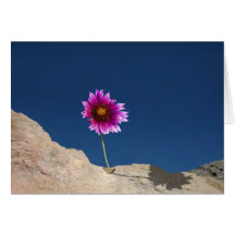 Flower Greeting Cards