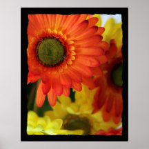 Flower in depth posters