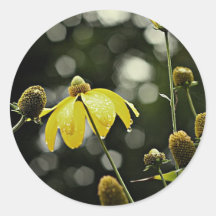 Flower in the Rain Sticker