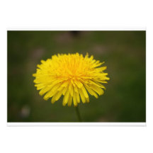 Flower Invitation
