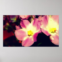 Flower love poster