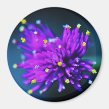 Flower Magnet