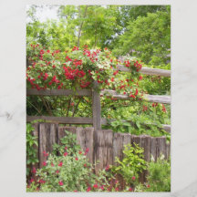 Flower on a Fence Flyers