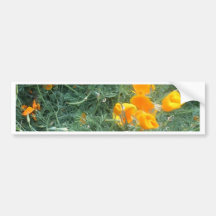 Flower Pattern Bumper Stickers