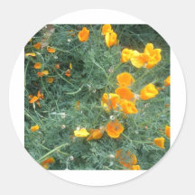 Flower Pattern Sticker