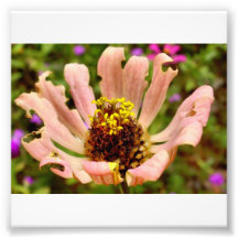 flower photographic print
