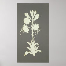Flower Poster