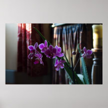 Flower poster