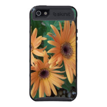 Flower Power Collection / Pink Gerber Daisy Cover For iPhone 5