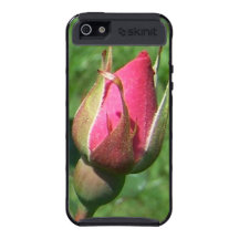 Flower Power Collection / Pink Rose Bloom iPhone 5 Cases