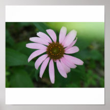 Flower power poster