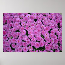Flower Print