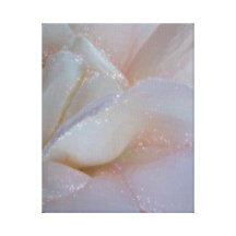 flower sparkle pinkie gallery wrap canvas