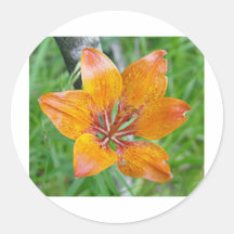 Flower Stickers
