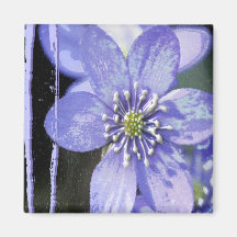 FLOWER VIOLET PASSION MAGNET