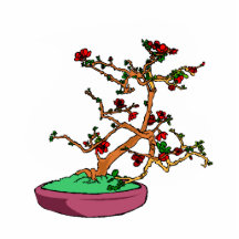 Flowering bonsai leaning tree in pot photo cutout